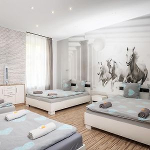Studio met een King Size Bed